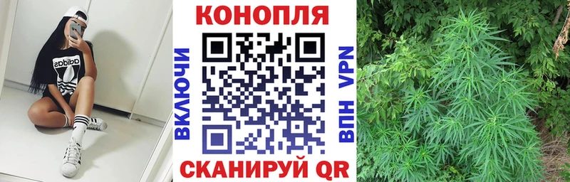 Где найти наркотики Советская Гавань Cocaine 
