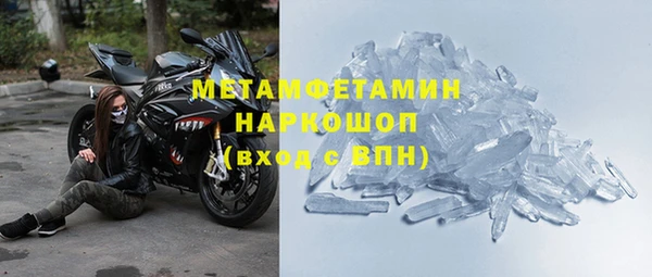 хмурый Алексин