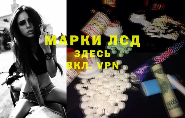мяу мяу мука Абаза